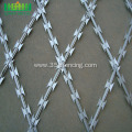 Concertina Fencing Hot Dipped Razor Barbed Wire
